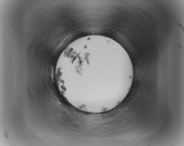 X0000100320024200806261237