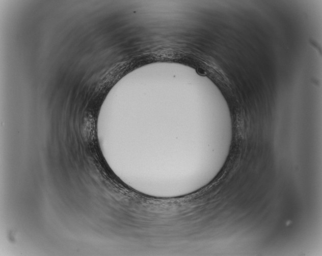 X0000100320029200806261237