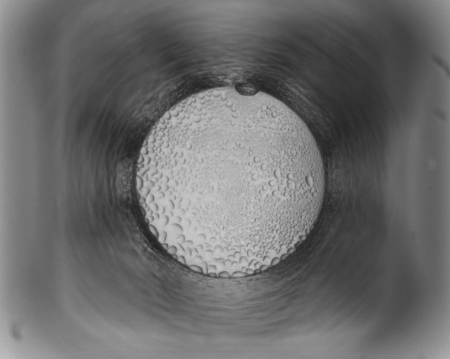 X0000100320030200806261237