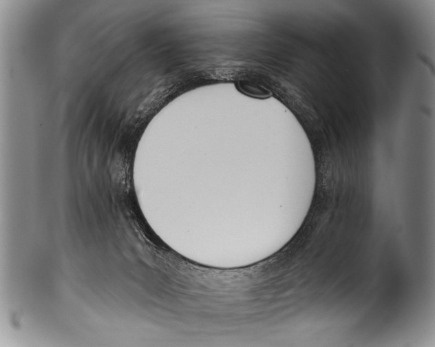 X0000100320031200806261237