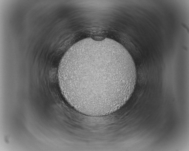 X0000100320034200806261237