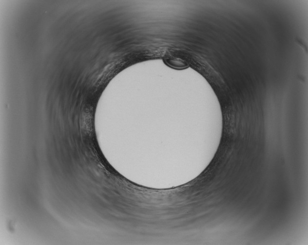 X0000100320035200806261237