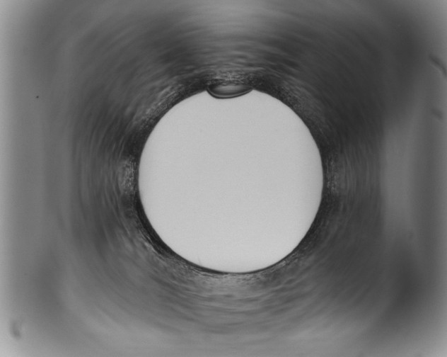 X0000100320036200806261237