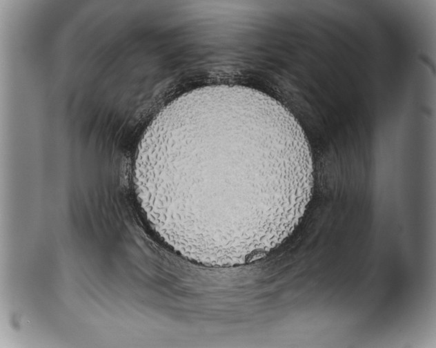 X0000100320038200806261237