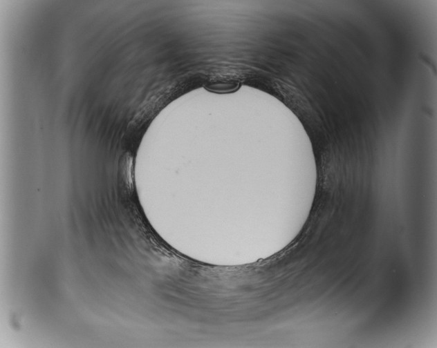 X0000100320041200806261237