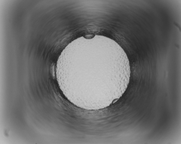 X0000100320042200806261237