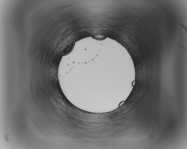 X0000100320044200806261237