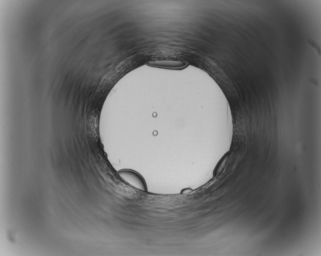 X0000100320045200806261237