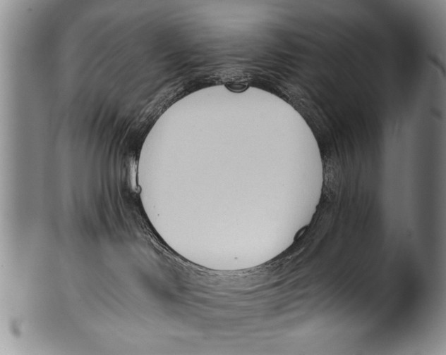 X0000100320046200806261237