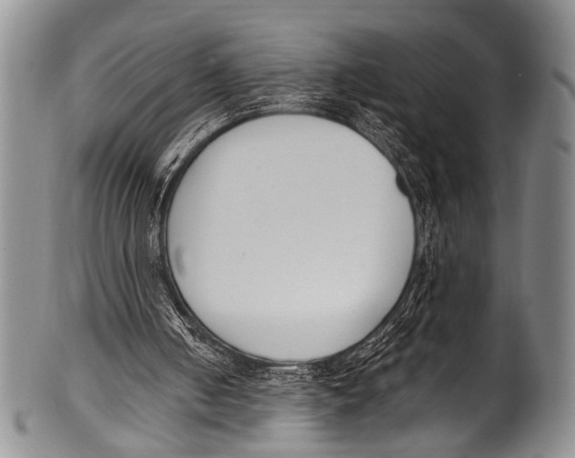 X0000100320050200806261236