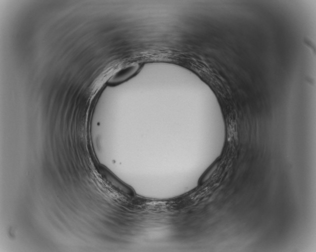 X0000100320052200806261236