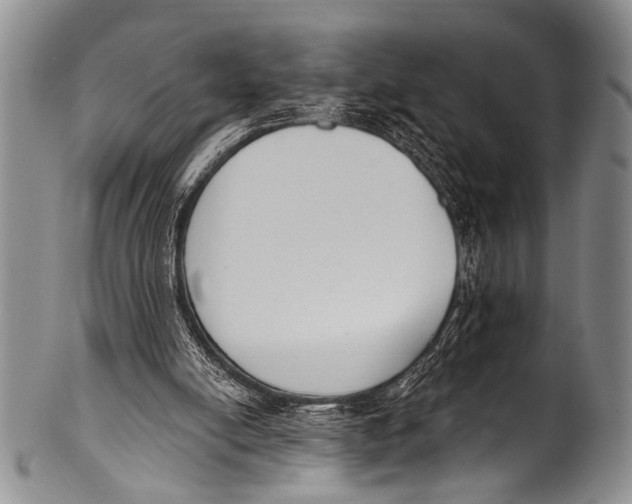 X0000100320054200806261236