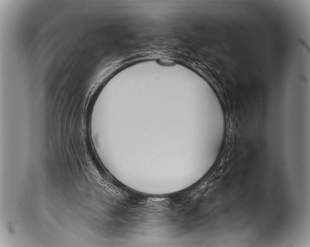 X0000100320055200806261236