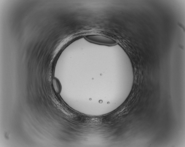 X0000100320056200806261236