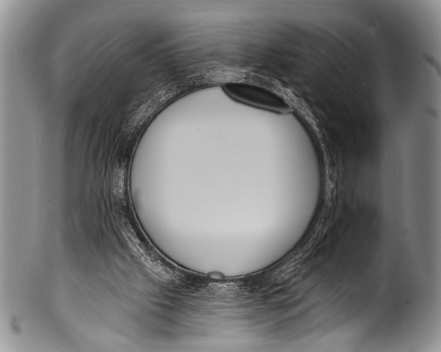 X0000100320057200806261236