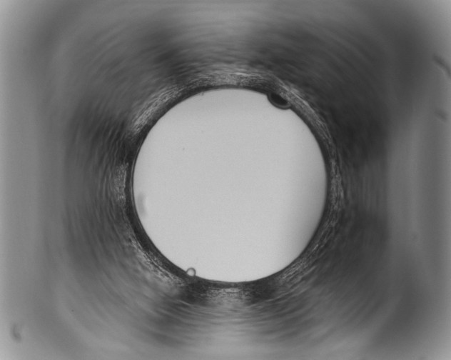 X0000100320058200806261236