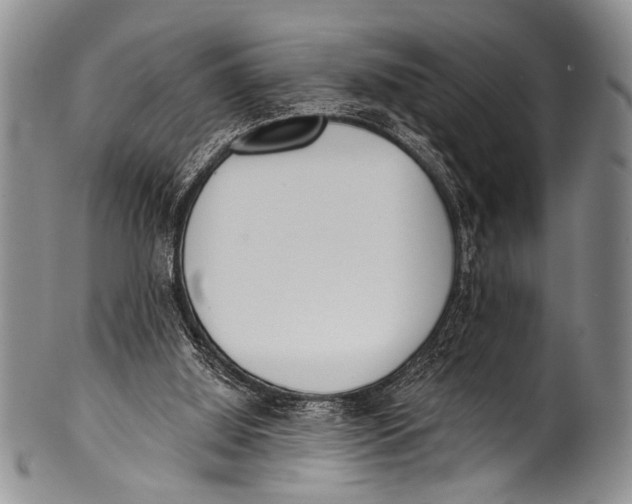 X0000100320060200806261236