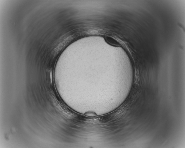 X0000100320061200806261236