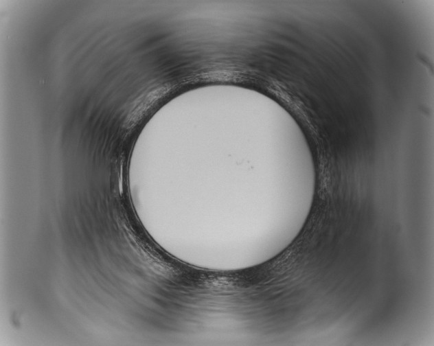 X0000100320062200806261236