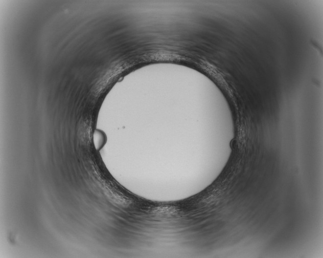 X0000100320063200806261236