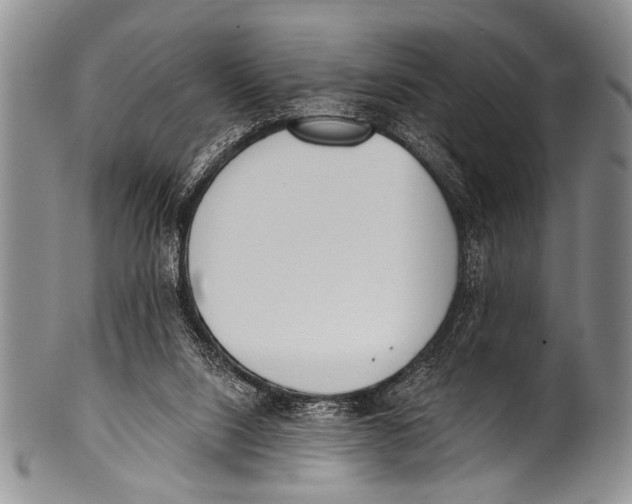 X0000100320064200806261236