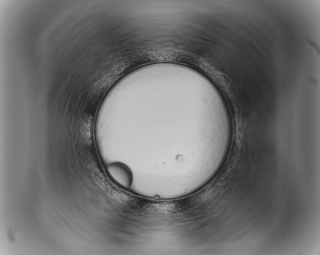 X0000100320065200806261236