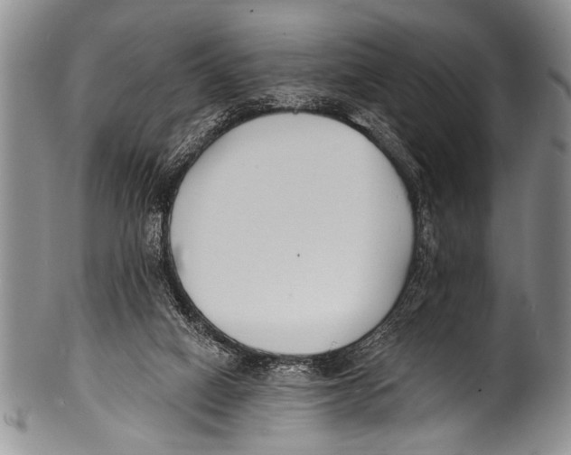 X0000100320066200806261236