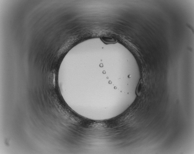 X0000100320067200806261236