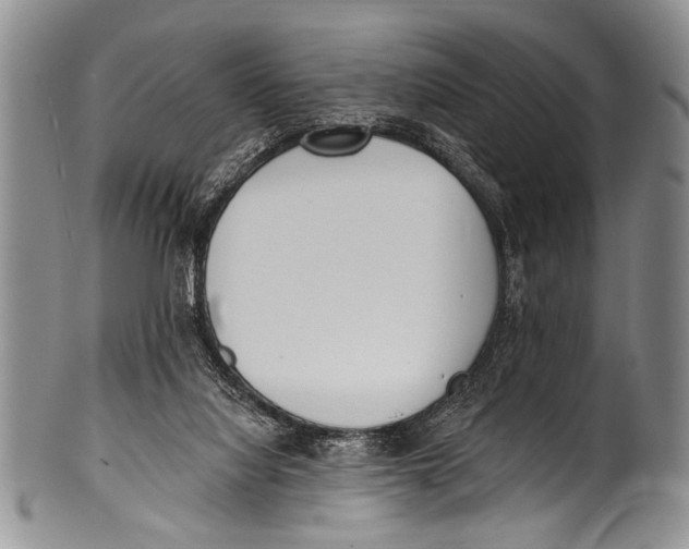 X0000100320068200806261236