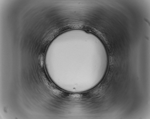 X0000100320069200806261236