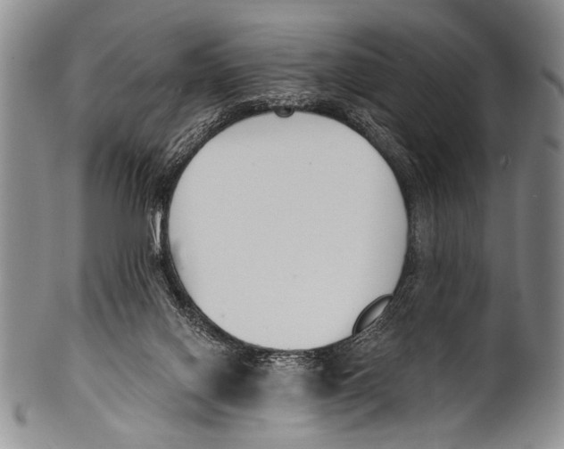 X0000100320070200806261236