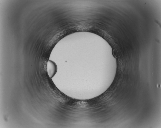 X0000100320071200806261236