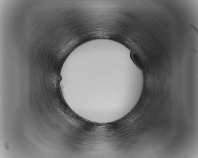 X0000100320072200806261236