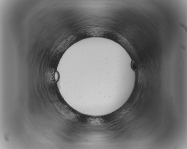 X0000100320073200806261236