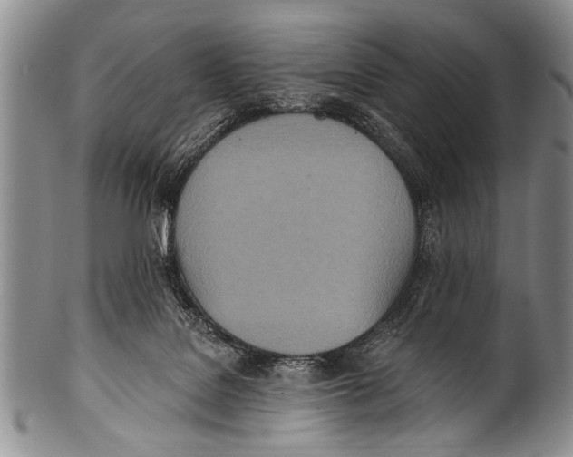 X0000100320076200806261236