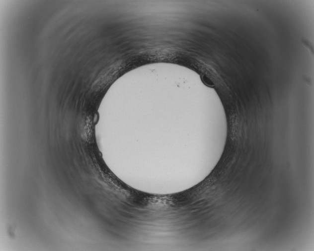 X0000100320077200806261236