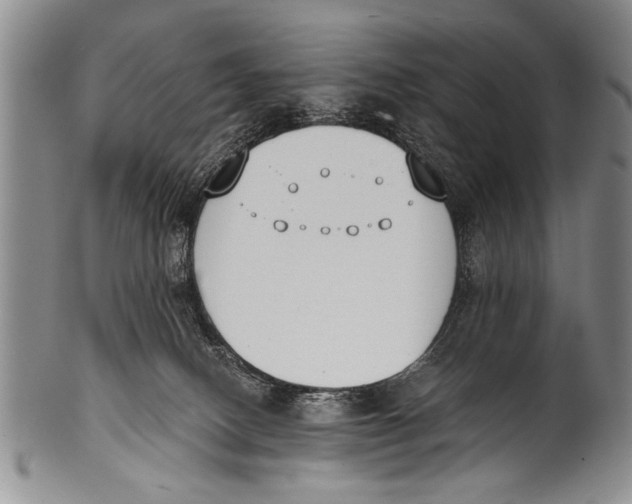 X0000100320082200806261236