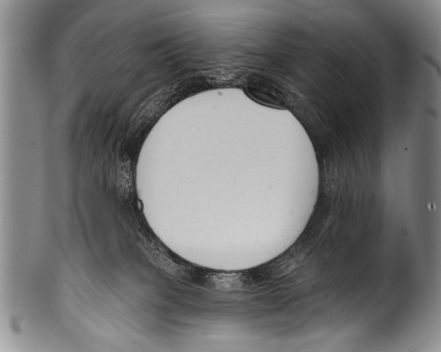 X0000100320085200806261236