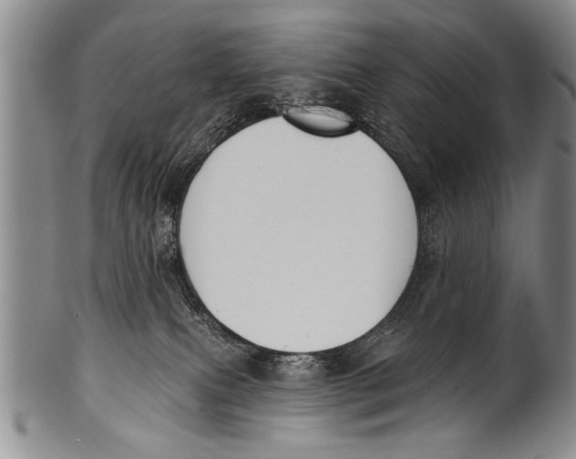 X0000100320087200806261237