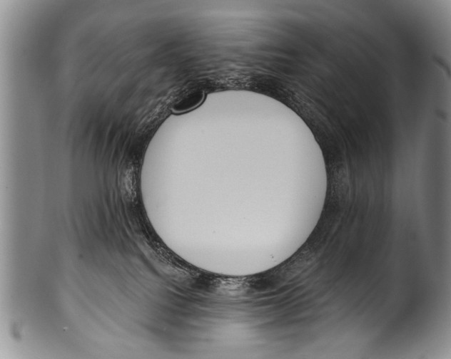 X0000100320088200806261237