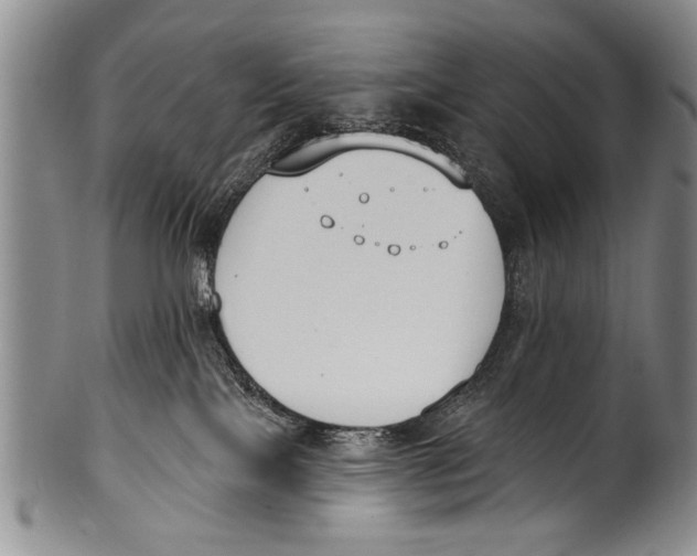 X0000100320089200806261237