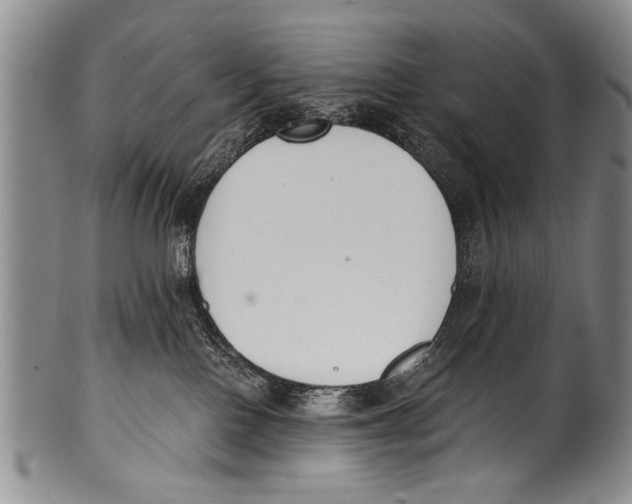 X0000100320090200806261237