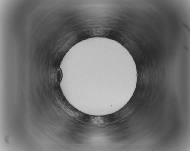 X0000100320091200806261237