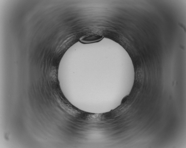 X0000100320092200806261237