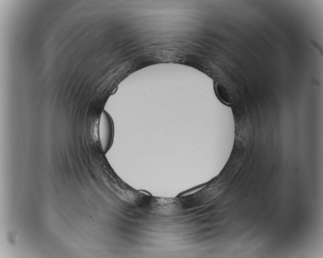 X0000100320095200806261237