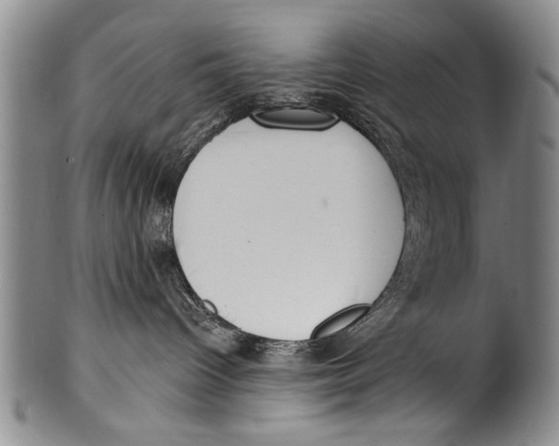 X0000100320096200806261237