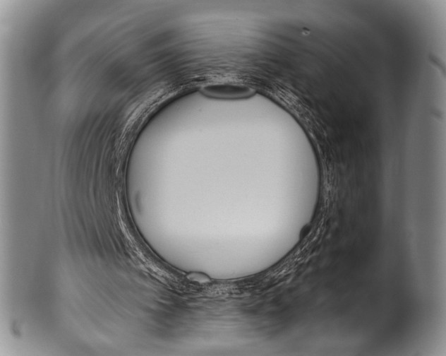 X0000100320097200806261236