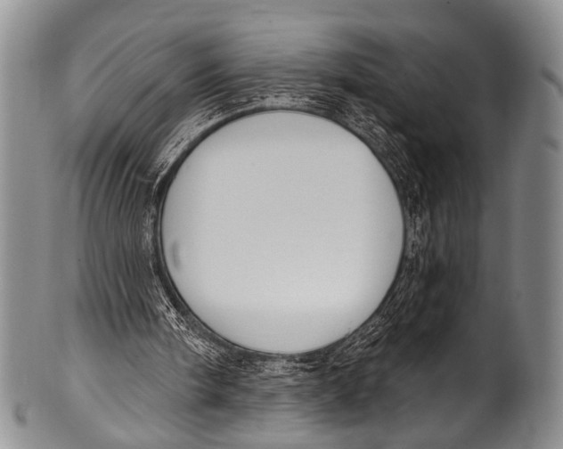 X0000100320098200806261236