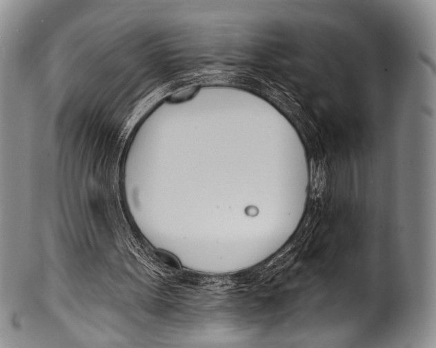 X0000100320099200806261236