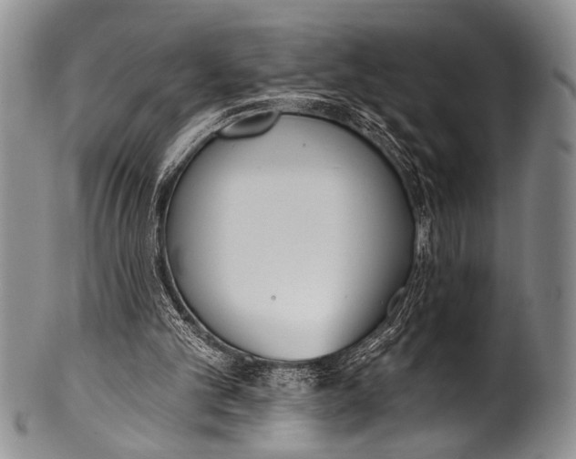 X0000100320101200806261236